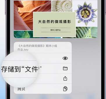 兴隆华侨农场apple维修中心分享iPhone文件应用中存储和找到下载文件