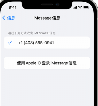 兴隆华侨农场apple维修iPhone上无法正常发送iMessage信息