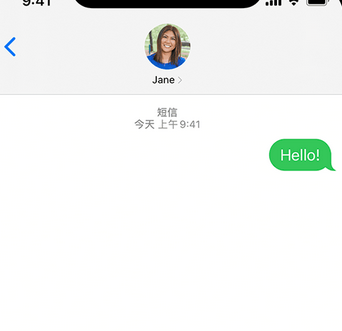 兴隆华侨农场apple维修iPhone上无法正常发送iMessage信息