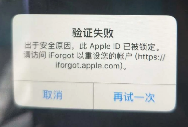 兴隆华侨农场iPhone维修分享iPhone上正常登录或使用AppleID怎么办 