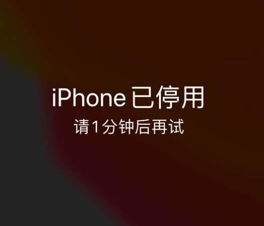 兴隆华侨农场苹果手机维修分享:iPhone 显示“不可用”或“已停用”怎么办？还能保留数据吗？ 