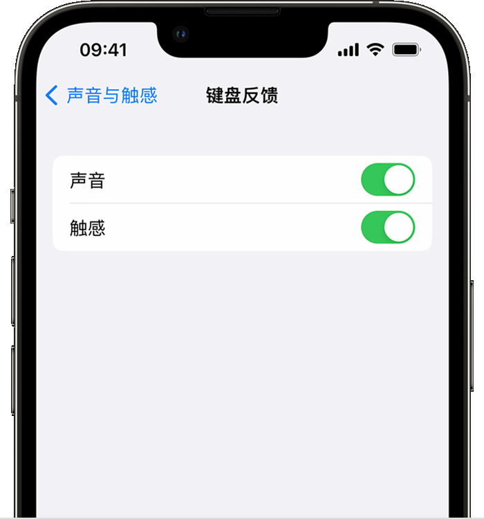 兴隆华侨农场苹果14维修店分享如何在 iPhone 14 机型中使用触感键盘 