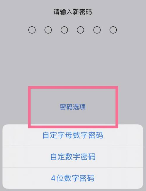 兴隆华侨农场苹果14维修分享iPhone 14plus设置密码的方法 